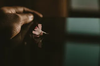 粉红色花瓣的弱光照片