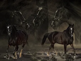 绘画，二，黑色，马，拼贴，雾，水，头