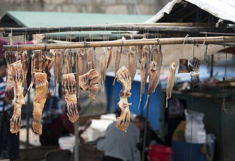 培根，岭南培根，风暴培根，悬挂，出售，关注前景，市场，没有人