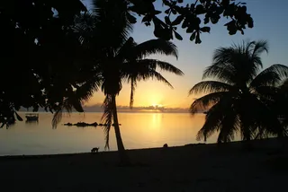 剪影，椰子树，大海，金色，小时，塔希提岛，日落，太阳