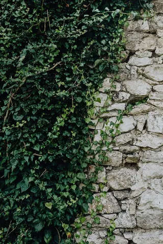 波兰首府克拉科夫的魅力