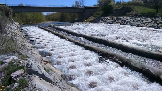 楼梯，鱼，瀑布，瀑布，自然，河流，水，白天