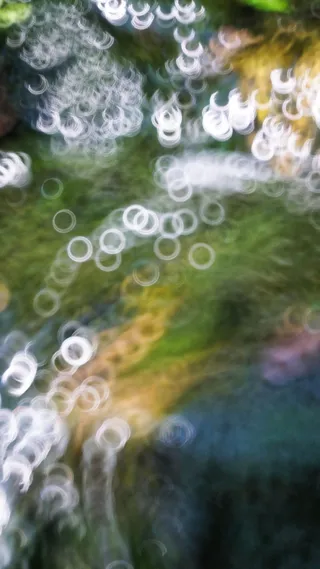 光, 环, 反射, 水, 散景, 泡沫, 背景, 特写