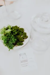 在罐子里建造雨林玻璃器皿 在罐子里建造雨林玻璃器皿