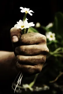 谢谢你,花,植物,人类,手,脏,园丁,园丁 谢谢你,花,植物,人类,手,脏,园丁,园丁