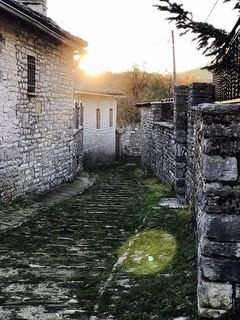 绿草 绿草