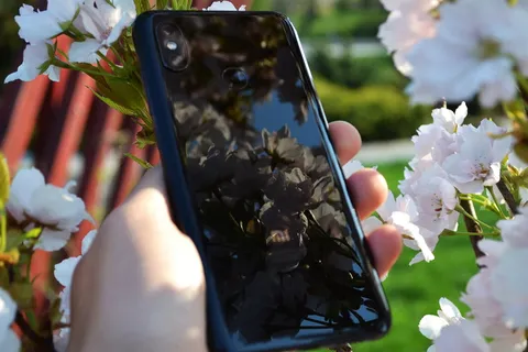 手机，手机，电子产品，手机，莱布尼克，波兰，主题公园，人