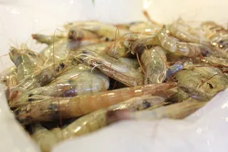 食物，美味，零食，东方食物，室内，特写，选择性聚焦，静物