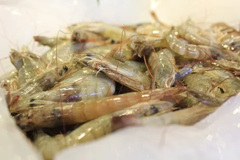 食物,美味,零食,东方食物,室内,特写,选择性聚焦,静物 食物,美味,零食,东方食物,室内,特写,选择性聚焦,静物