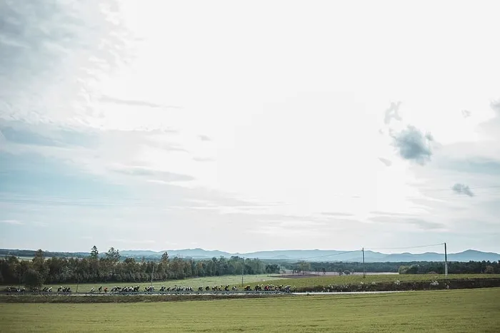 乡村公路上自行车比赛的全景