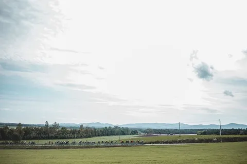 乡村公路上自行车比赛的全景 乡村公路上自行车比赛的全景