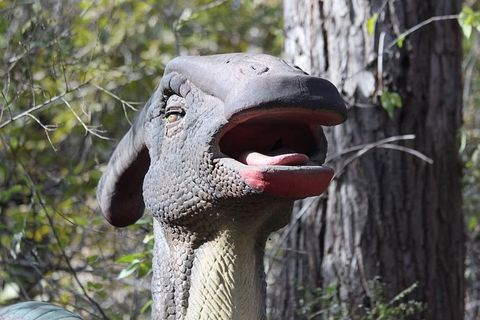 恐龙，头，自然，动物，树，木头，克鲁普尼杰平面图，模型