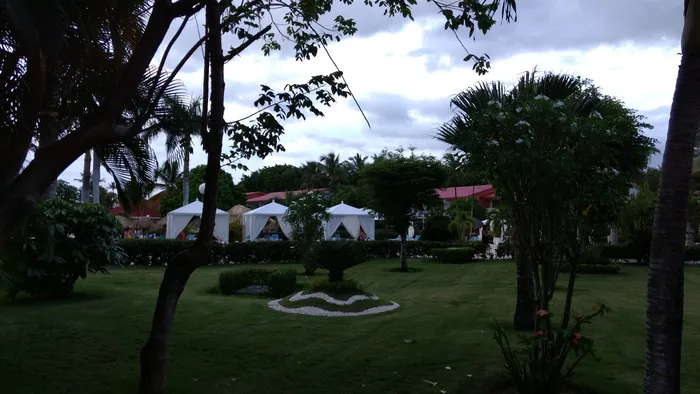 多米尼加*，拉罗马纳，大巴伊亚普林西比拉罗马纳，热带，度假村，树木，度假，度假