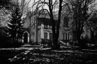 乌克兰, 建筑, 敖德萨, Bw, 建造, 树, 恐怖, 光秃秃的树