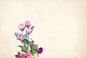 以粉红色花朵为背景的插图花卉。