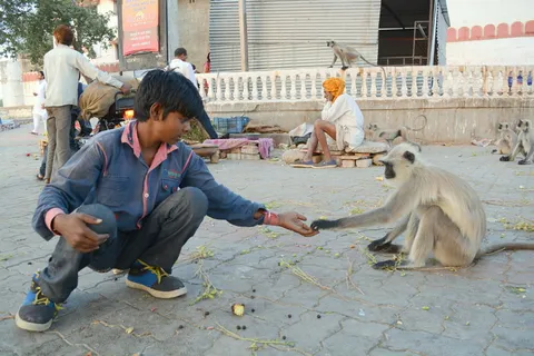 友谊，分享，朋友，人，生活方式，联系，分享，快乐
