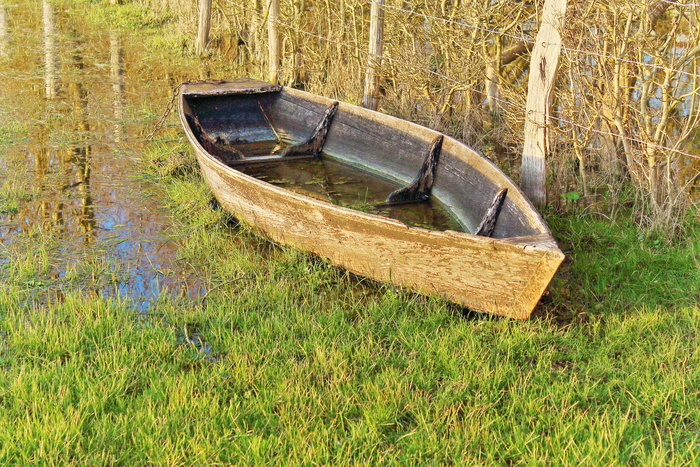 船、沼泽、景观、自然、田野、户外、草原、航海船