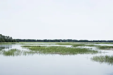 淹没的田野照片,淹没的,田野,照片,青色,草,灰色,绿色 淹没的田野照片,淹没的,田野,照片,青色,草,灰色,绿色