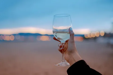 拿酒杯的人的选择性聚焦摄影 拿酒杯的人的选择性聚焦摄影