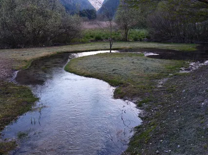 河流,水,曲流,河流环路,当然,生物群落,沼泽,安波拉西 河流,水,曲流,河流环路,当然,生物群落,沼泽,安波拉西