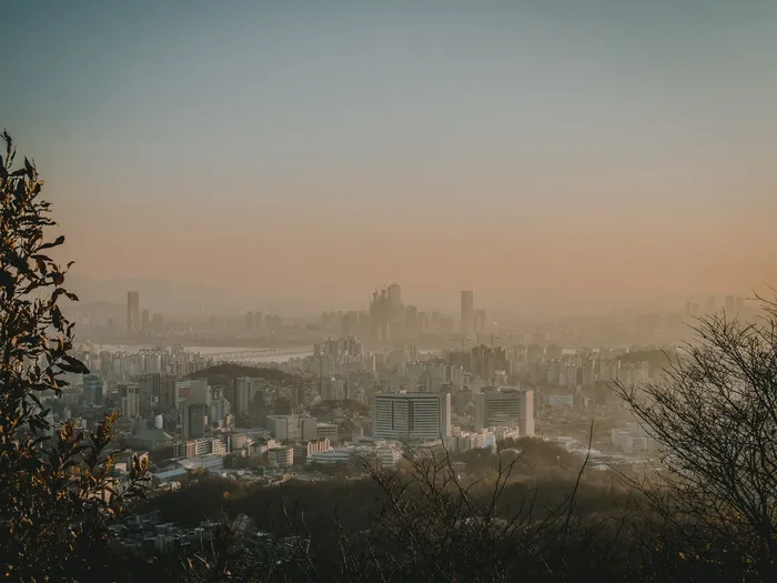 城市俯瞰图