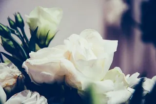 花，花瓣，花束，玫瑰，花朵，花朵，植物，花朵