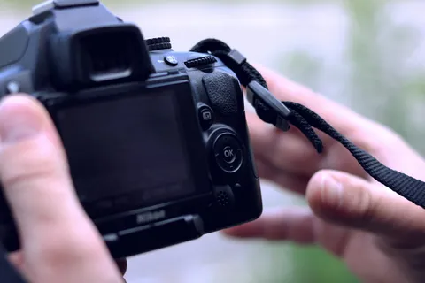 德国，海德堡，海德堡Pfafengrund，图片，快照，特写，宏，手