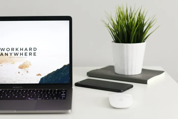 MacBook Pro靠近桌上的绿色盆栽植物