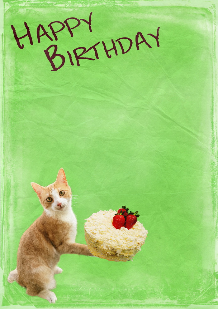 猫、抱、蛋糕、图形、快乐、生日文本、生日、背景
