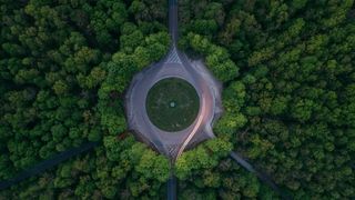 空中，摄影，环行道路，环绕，树木，白天，绿色，植物