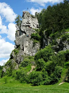岩石、旅游、景观、自然、徒步旅行小径、侏罗克拉科夫斯科茨托乔瓦、攀岩、植物 岩石、旅游、景观、自然、徒步旅行小径、侏罗克拉科夫斯科茨托乔瓦、攀岩、植物