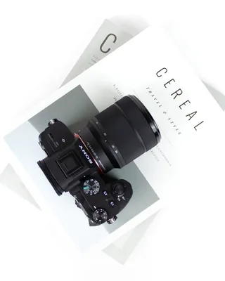 谷类书籍上的黑色单反相机