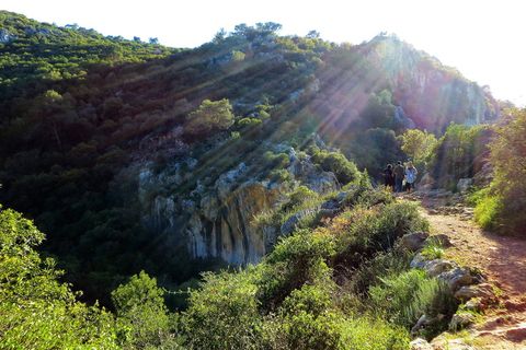 戈兰高地、中东、自然、lanscape、mountain、israel、sun、sunflare