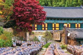 佛教, 传统, 宗教, jar, 亚洲, 文化, 寺, 宗教