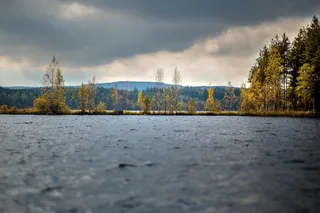 水体、绿色、叶子、树木、白天、山、草、天空