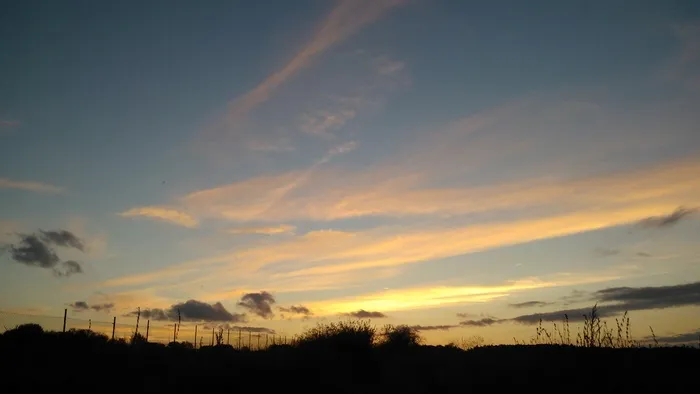 日落，天空，色彩，风景，云天，剪影，自然之美，风景-自然