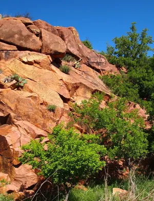 俄克拉荷马州，石英山，自然，风景，大草原，风景如画，仙人掌，植物