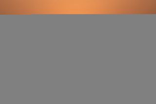 hummel，花，春天，花，自然，植物，昆虫，树