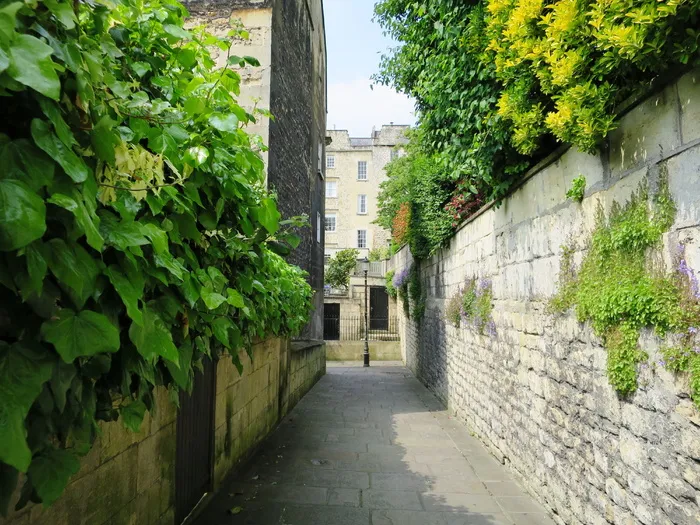 英格兰，英国巴斯，小巷，植物，绿化，建筑，建筑结构，建筑外观