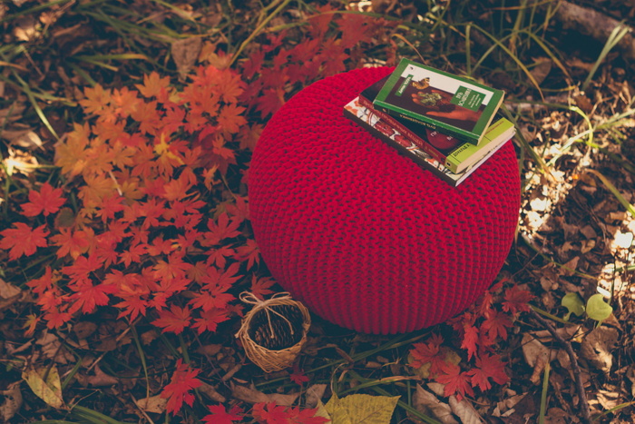 俄罗斯，符拉迪沃斯托克，枫木，pouf，针织，树叶，auntm，植物部分