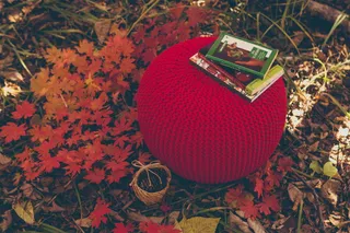 俄罗斯，符拉迪沃斯托克，枫木，pouf，针织，树叶，auntm，植物部分