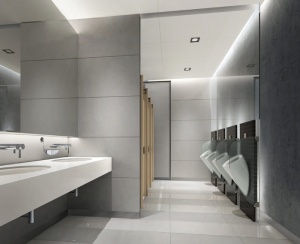 空舒适室、室内、wc、渲染、可视化、建筑、可视化3d、建筑可视化