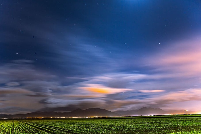 绿色，田野，黄昏画，草，云，蓝，天，云