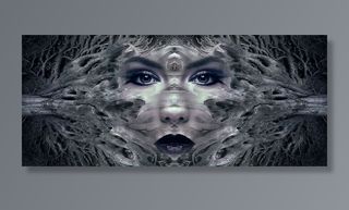 幻觉摄影，女人，脸，幻想，肖像，神秘，女性，森林