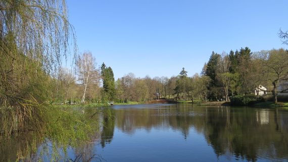 自然，水，倒影，湖，树，水，植物，自然之美