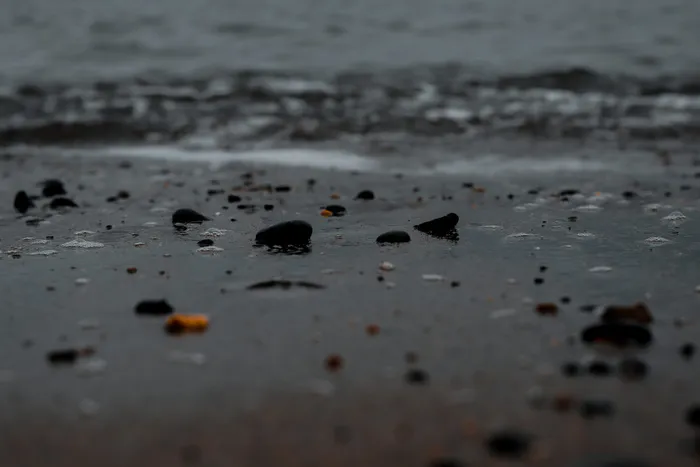 水，选择性聚焦，潮湿，无人，海滩，自然，全画面，特写