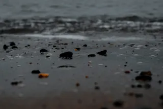 水，选择性聚焦，潮湿，无人，海滩，自然，全画面，特写