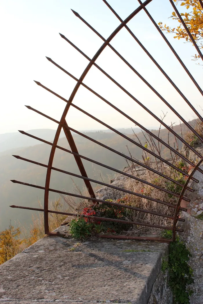 网格，金属，铁，石墙，酒吧，植物，自然，没有人