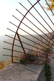 网格，金属，铁，石墙，酒吧，植物，自然，没有人