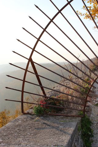 网格，金属，铁，石墙，酒吧，植物，自然，没有人